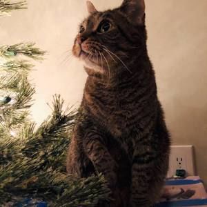 Meet your Posher, Audrey